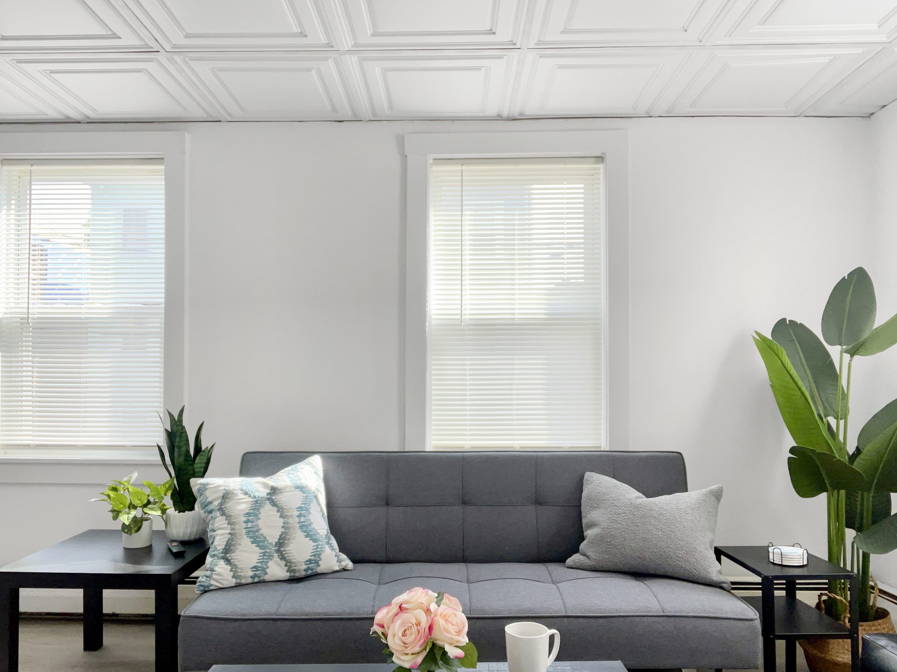 Living room in the East Boston apartment